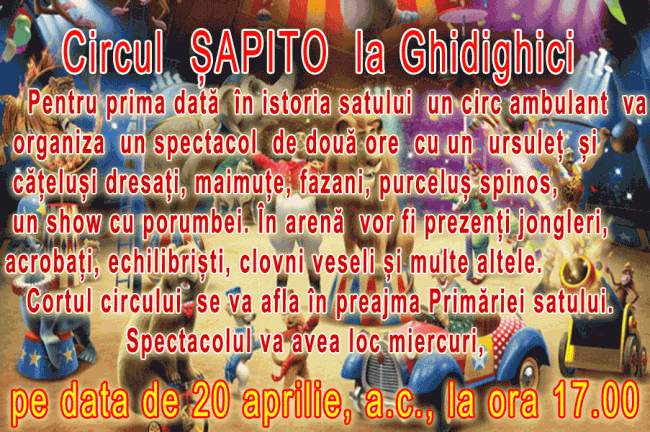 tapet-decorativ-camera-copii-la-circ-11420920